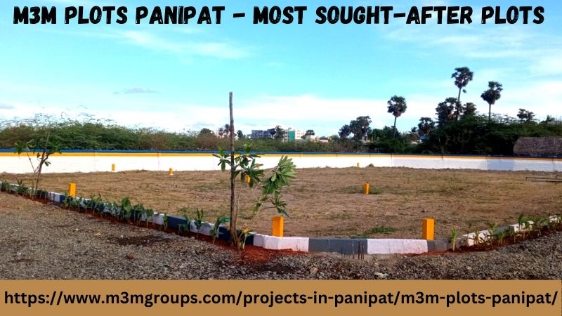 M3M Plots Panipat Purchase Your Dream Plot and Get a Complimentary Home