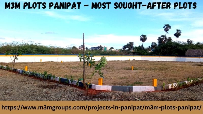 M3M Plots Panipat